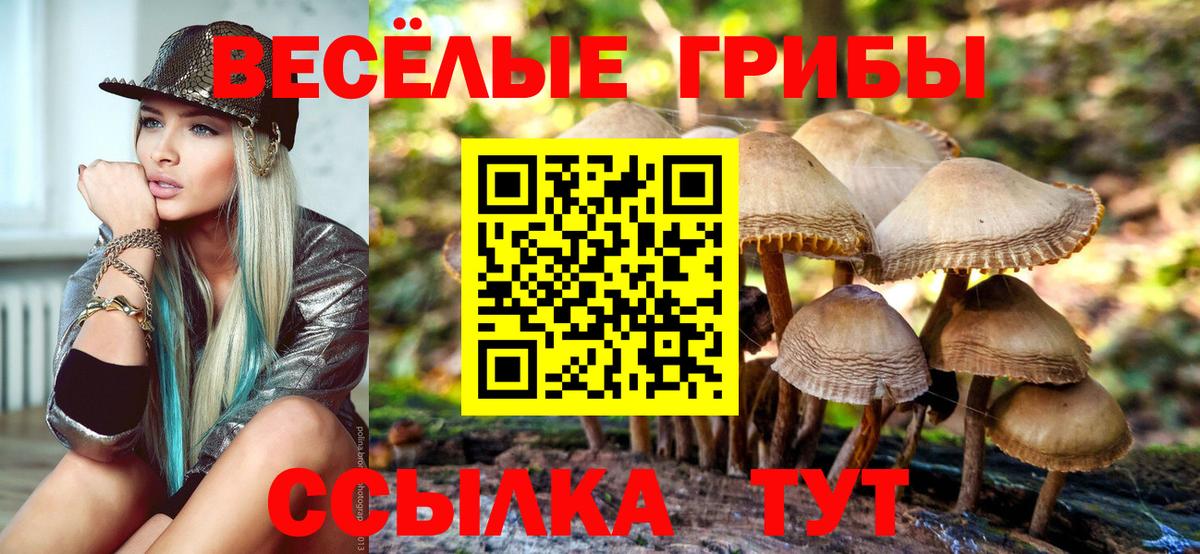 Галлюциногенные грибы прущие грибы  Псилоцибиновые грибы Psilocybine cubensis  Вход с VPN  Зеленодольск 