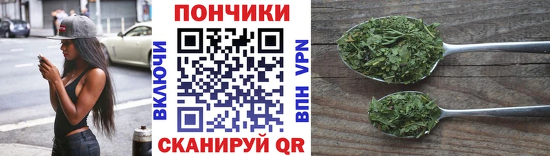 наркотики  Зеленодольск  гидра tor  Бошки марихуана ГИДРОПОН 